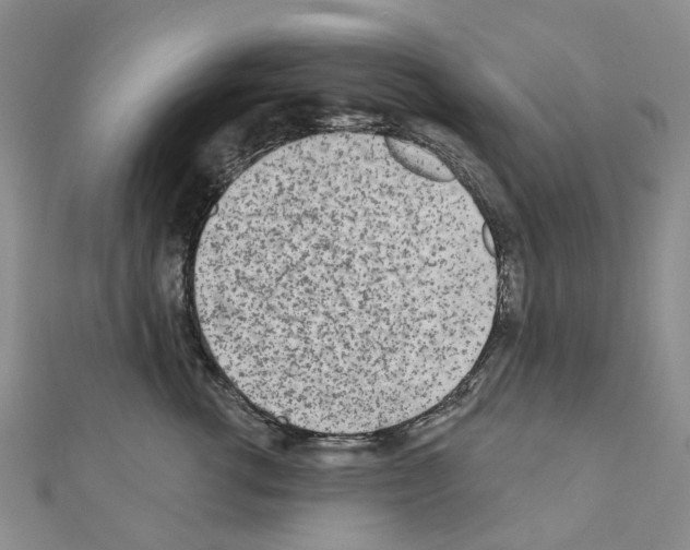 X0000110880762200907301434