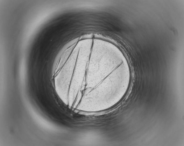 X0000110880764200907301434