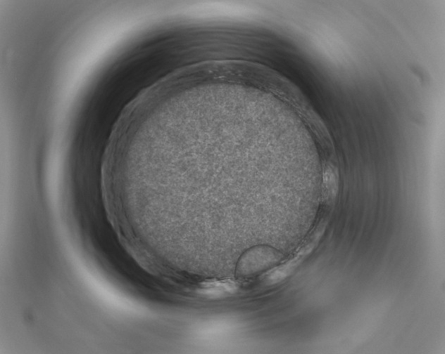 X0000110880765200907301434