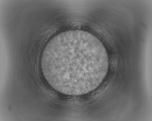 X0000110880769200907301433