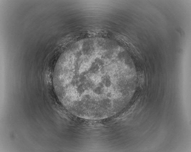 X0000110880770200907301433