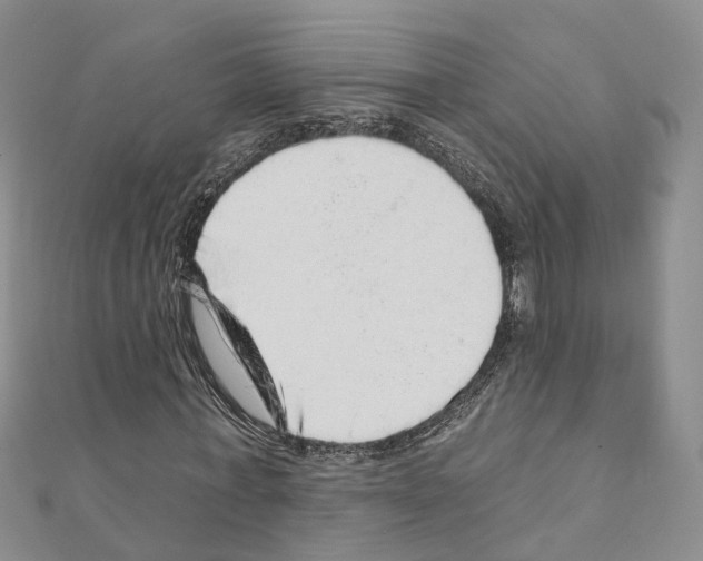 X0000110880771200907301433