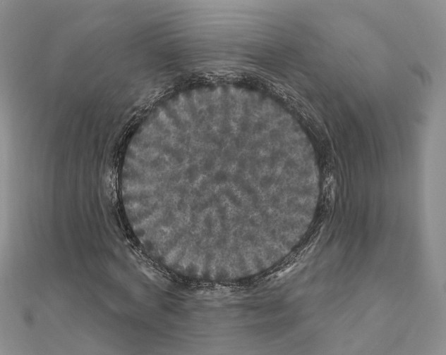 X0000110880772200907301433