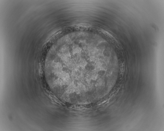 X0000110880774200907301433