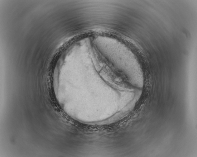 X0000110880776200907301433