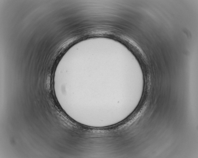 X0000110880777200907301433