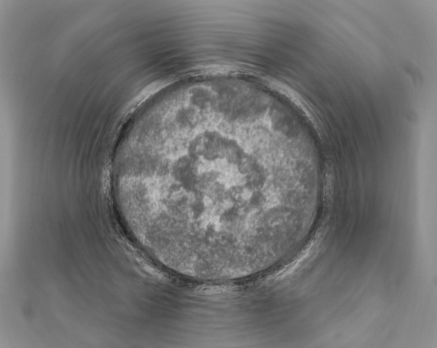 X0000110880778200907301433