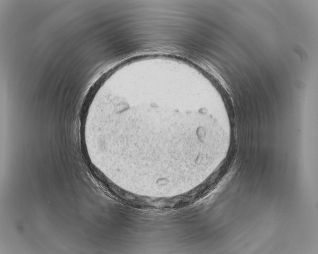 X0000110880781200907301433