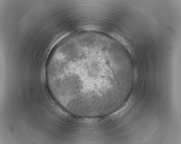 X0000110880782200907301433