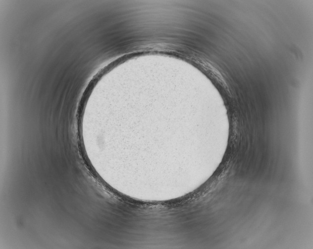 X0000110880784200907301433