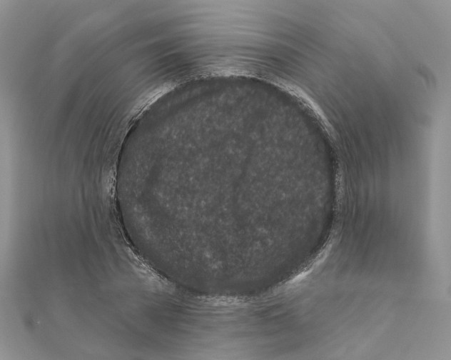 X0000110880785200907301433