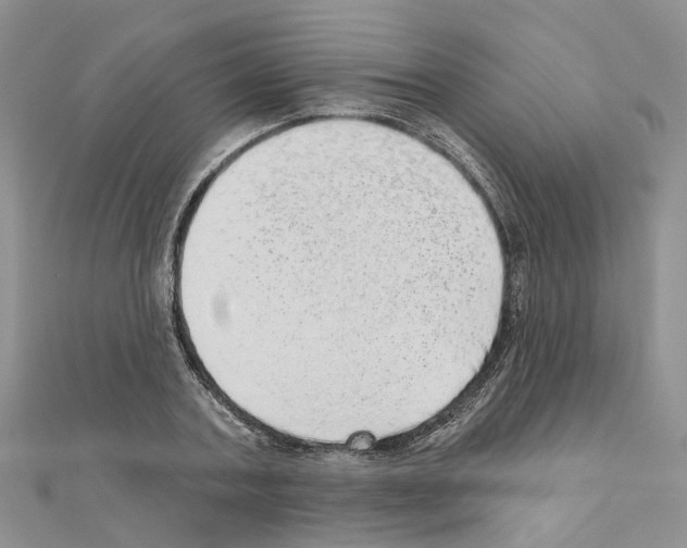 X0000110880787200907301433