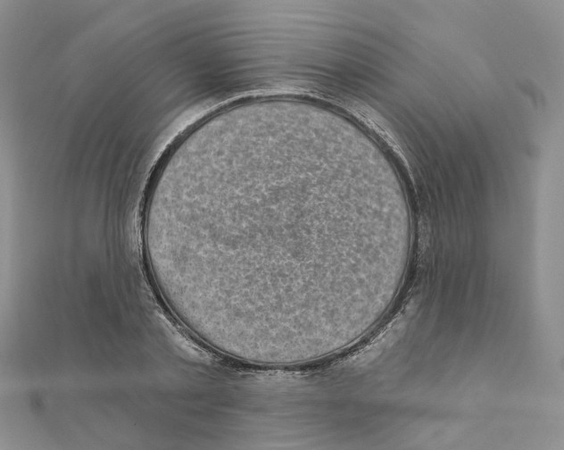 X0000110880789200907301433