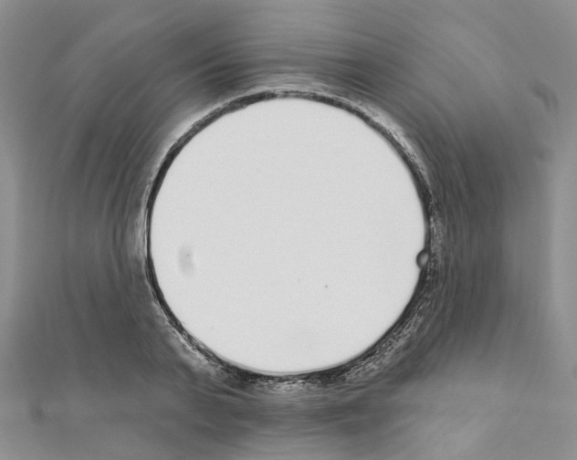 X0000110880791200907301433