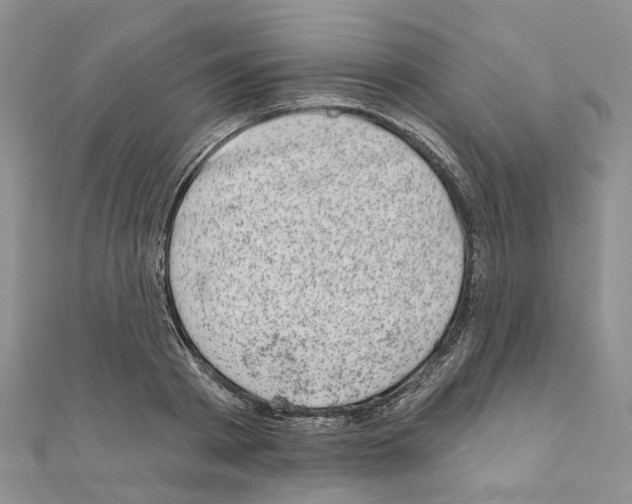 X0000110880793200907301433