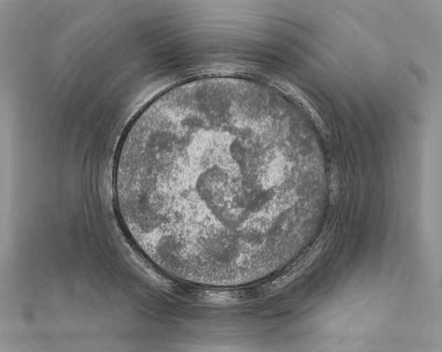 X0000110880794200907301433