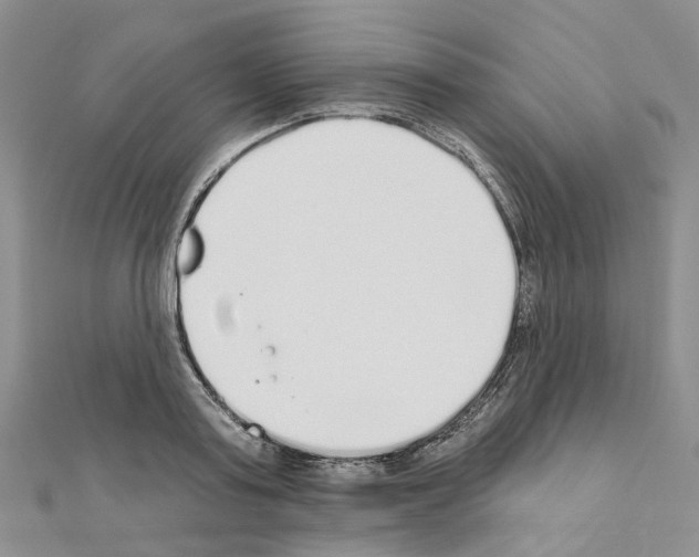 X0000110880795200907301433