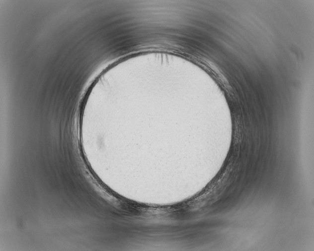 X0000110880796200907301433