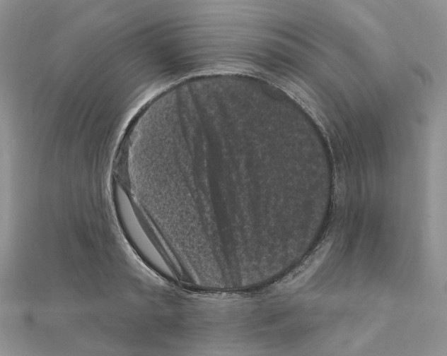 X0000110880797200907301433