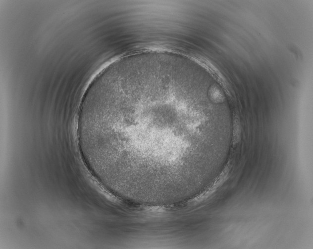 X0000110880798200907301433