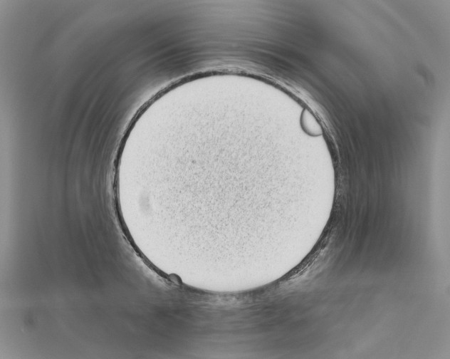 X0000110880799200907301433