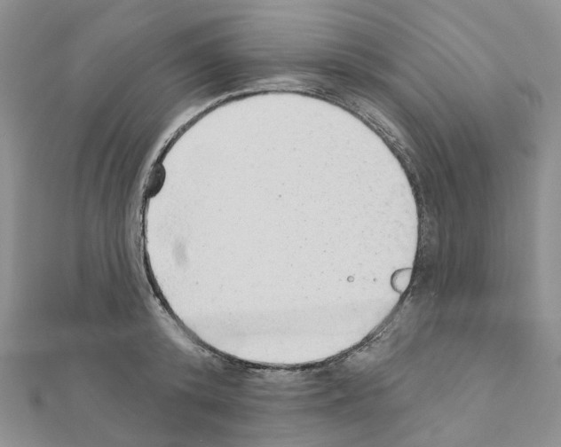 X0000110880800200907301433