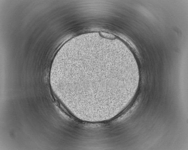 X0000110880801200907301433