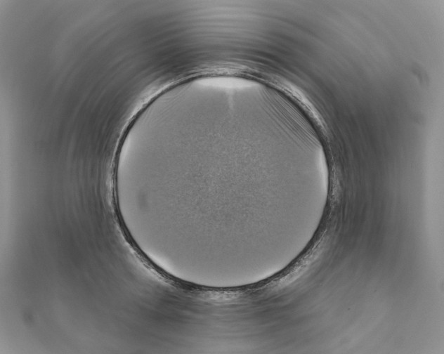 X0000110880802200907301433