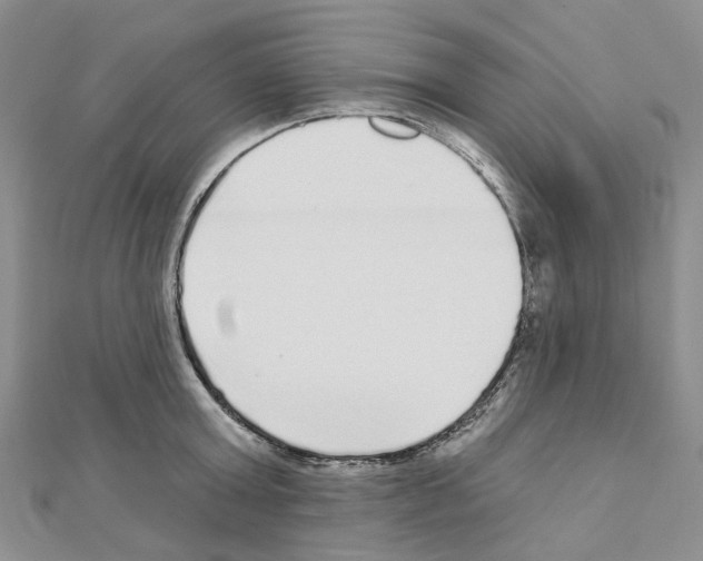 X0000110880803200907301433