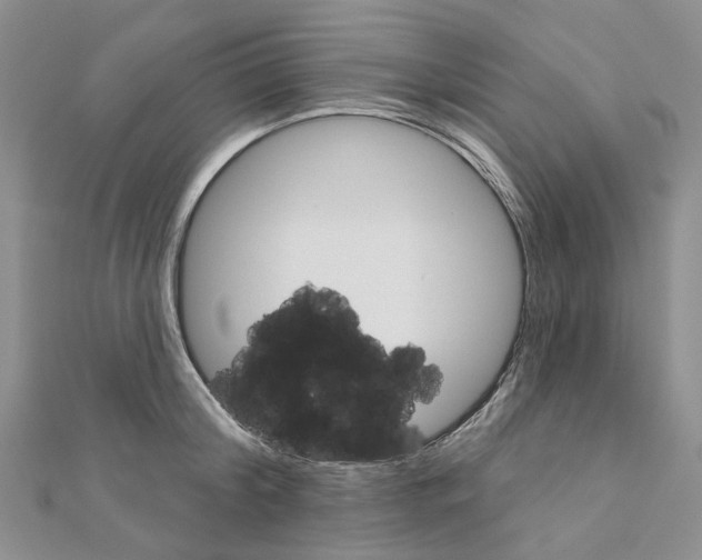 X0000110880804200907301433