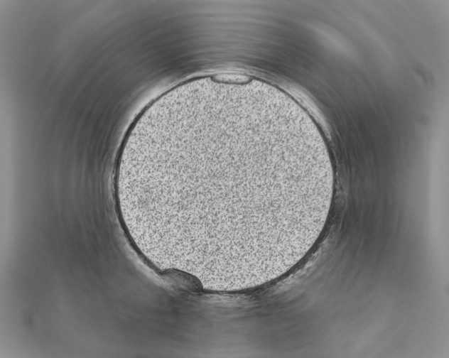 X0000110880805200907301433