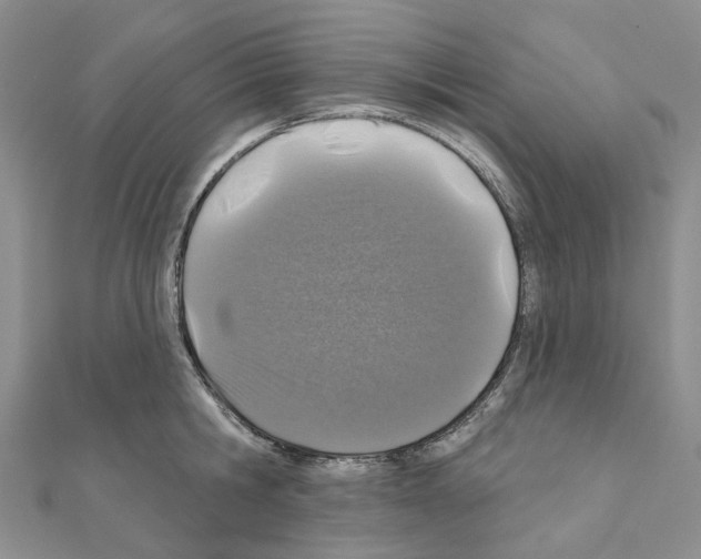 X0000110880806200907301433