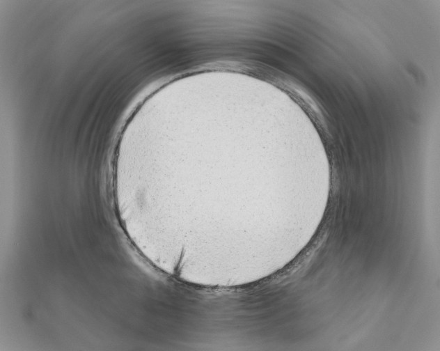 X0000110880808200907301433