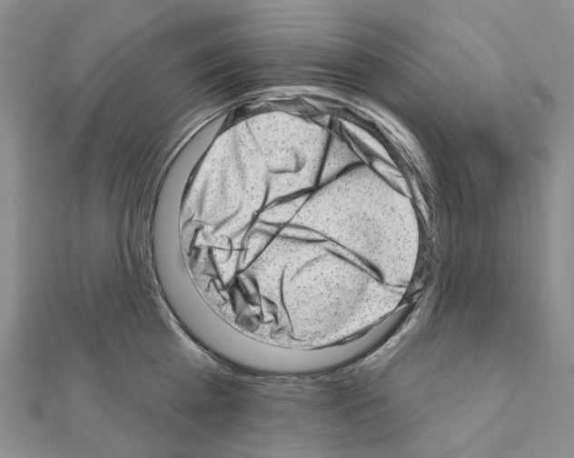 X0000110880809200907301433