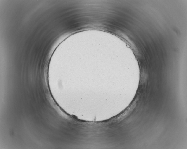 X0000110880812200907301433