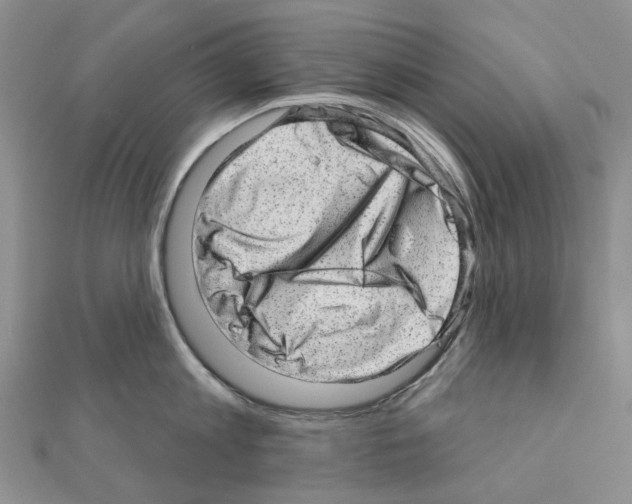 X0000110880813200907301432