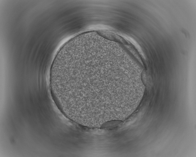 X0000110880815200907301432