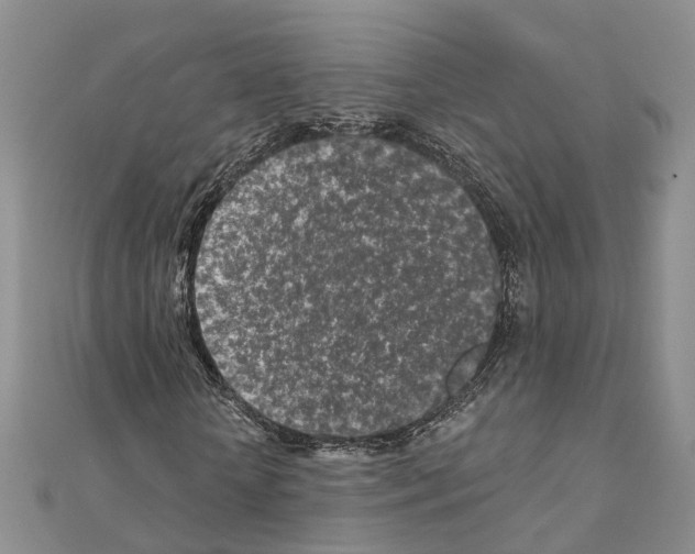 X0000110880818200907301432