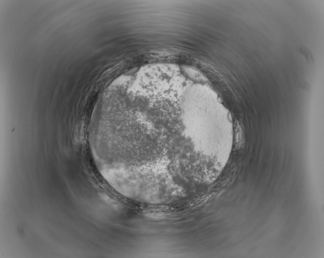 X0000110880819200907301432