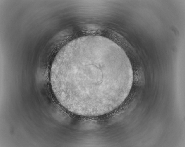 X0000110880820200907301432