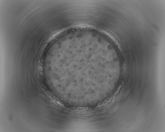 X0000110880823200907301432