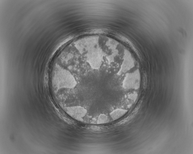 X0000110880827200907301432