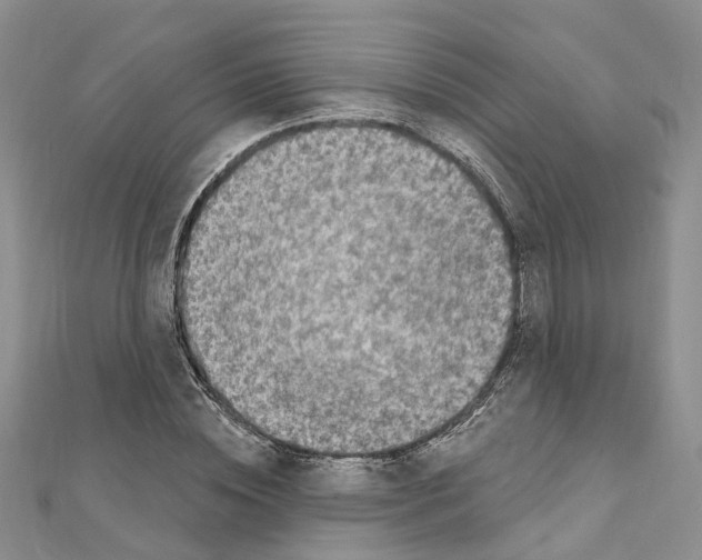 X0000110880828200907301432