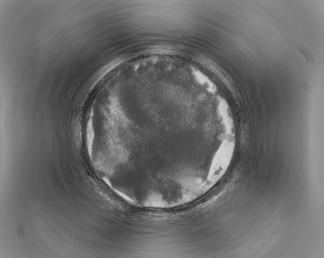 X0000110880829200907301432