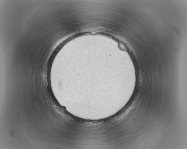 X0000110880830200907301432