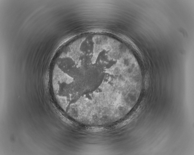 X0000110880831200907301432