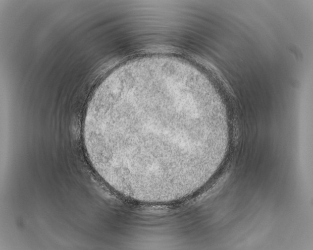 X0000110880833200907301432