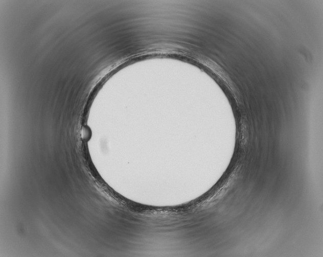 X0000110880834200907301432