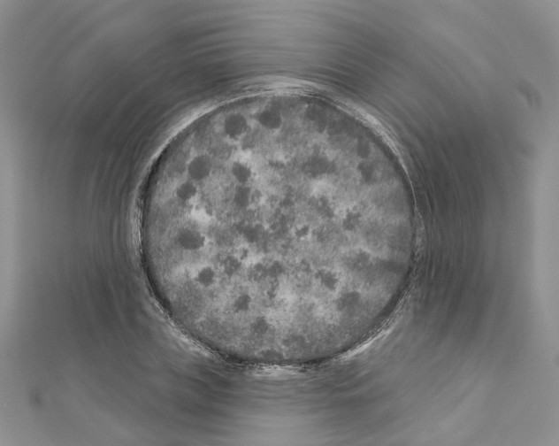 X0000110880835200907301432