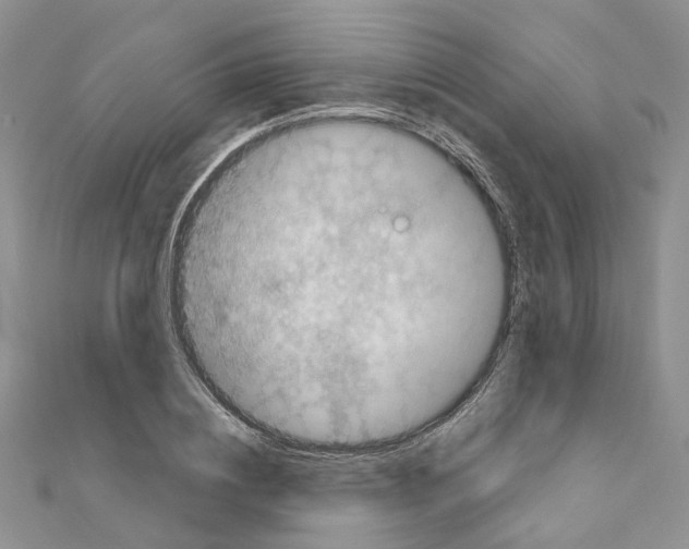 X0000110880836200907301432